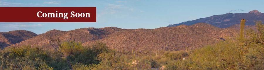 Via Elegante Assisted Living Tucson Foothills - Gallery Image 1