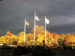 N J Veterans Mem Home Paramus - Gallery Image 5