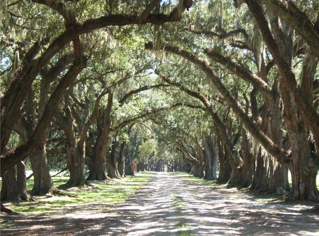 Plantation Oaks Senior Living