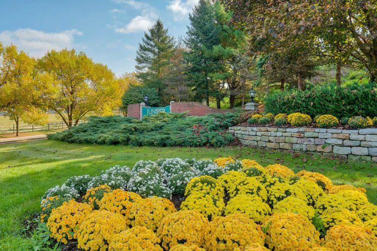 Juniper Village at Brookline, Senior Living