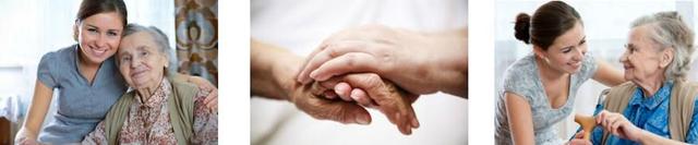 Community Assisted Living Facility Services