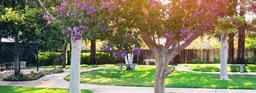 Livermore Valley Senior Living - Gallery Image 1