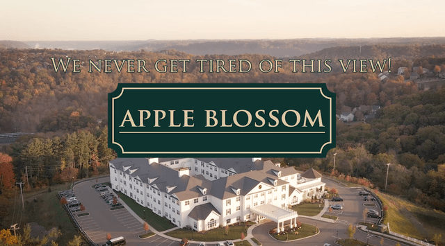 Apple Blossom 