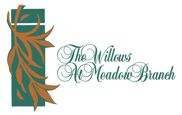 The Willows At Meadow Branch - Gallery Image 1