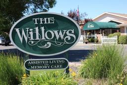 Willows - Gallery Image 1