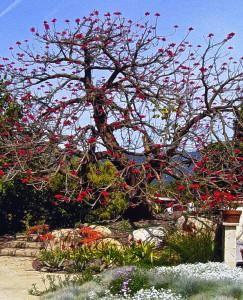 Coral Tree In-home Care - Gallery Image 2