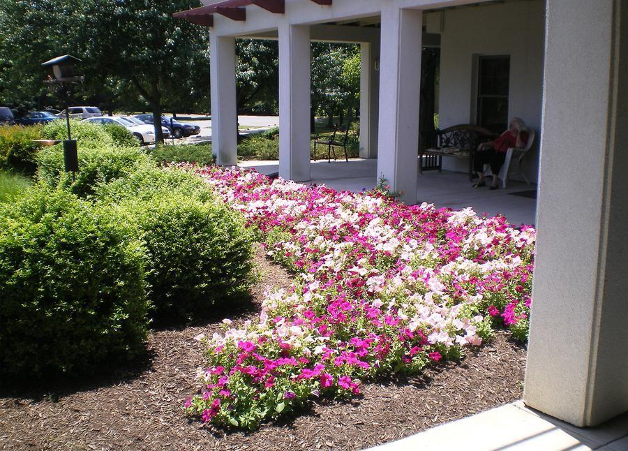 Regency Park Assisted Living Facility - Gallery Image 4