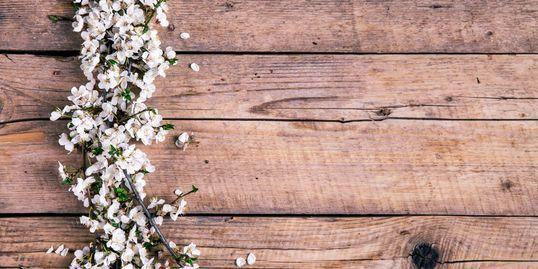 Cherry Blossom Cottage