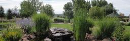 Gardens at Columbine - Gallery Image 3