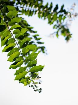 Vintage Park at Lenexa - Gallery Image 3