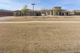 Vitality Court Texas Star - Gallery Image 2