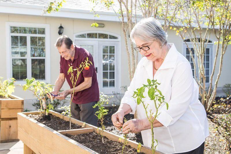 The Verandah Retirement Living - Gallery Image 5