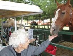 Grace Lodge Assisted Living - Gallery Image 5