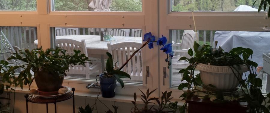 Brighter Day Assisted Living Home - Gallery Image 2