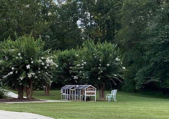 Chelsea's Hidden Acres - Gallery Image 3