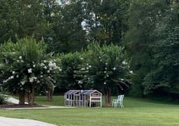 Chelsea's Hidden Acres - Gallery Image 3
