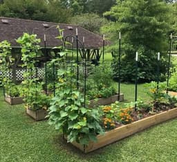 Chelsea's Hidden Acres - Gallery Image 4