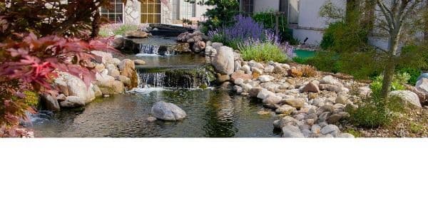 Inn At Library Way - Gallery Image 1