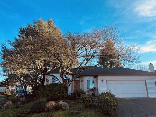 Summer Lake Senior Care, Kidist Stusser