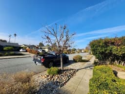 Cambrian Senior Living - Gallery Image 2