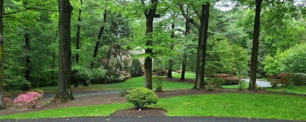 Westmont House - Gallery Image 1