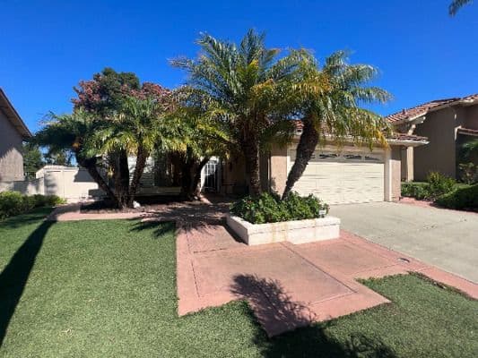 Vista Elder Care
