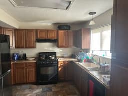Rachel'S House Of Rescue - Gallery Image 2