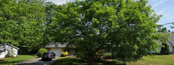 Benevolent Care Center - Gallery Image 6