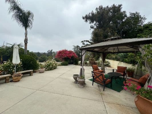 Say You'Re Home - Gallery Image 3