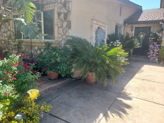 Evergreen Palms Senior Care