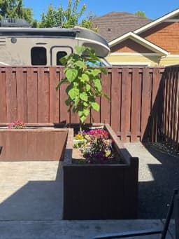 Serene Gardens - Amanda Zavala - Gallery Image 2