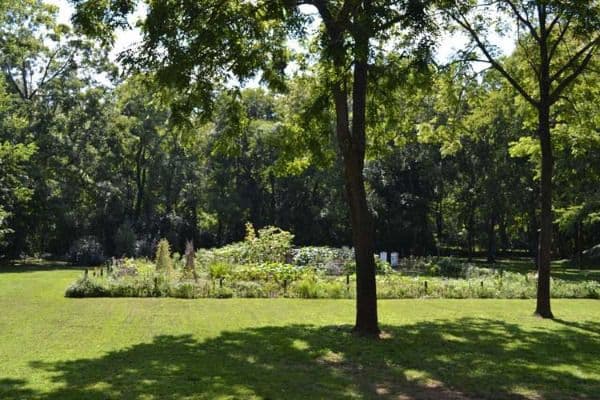 Park Manor Apartments Continuing Care Retirement Community - Gallery Image 5