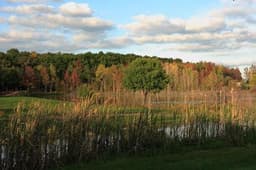 Clark at Keller Lake - Gallery Image 4