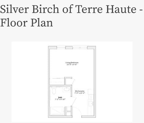 Silver Birch of Terre Haute