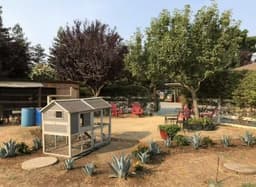 Gloria's Country Care - Gallery Image 6